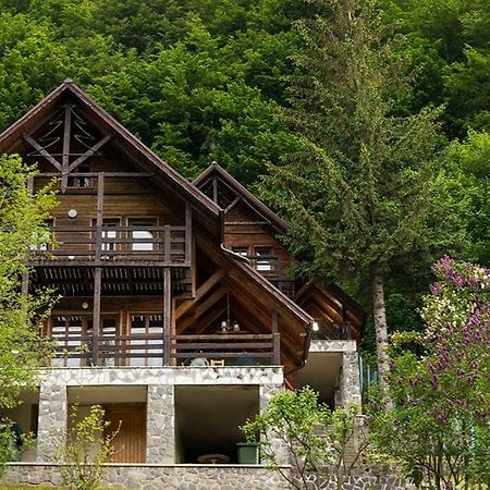 Florile Bucegilor Villa Синая Екстериор снимка