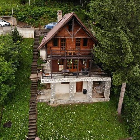 Florile Bucegilor Villa Синая Екстериор снимка