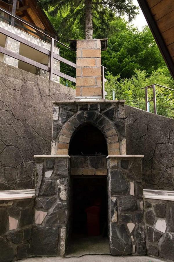 Florile Bucegilor Villa Синая Екстериор снимка