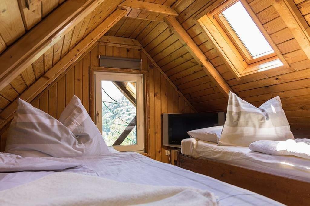 Florile Bucegilor Villa Синая Екстериор снимка