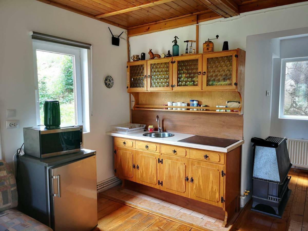 Florile Bucegilor Villa Синая Екстериор снимка