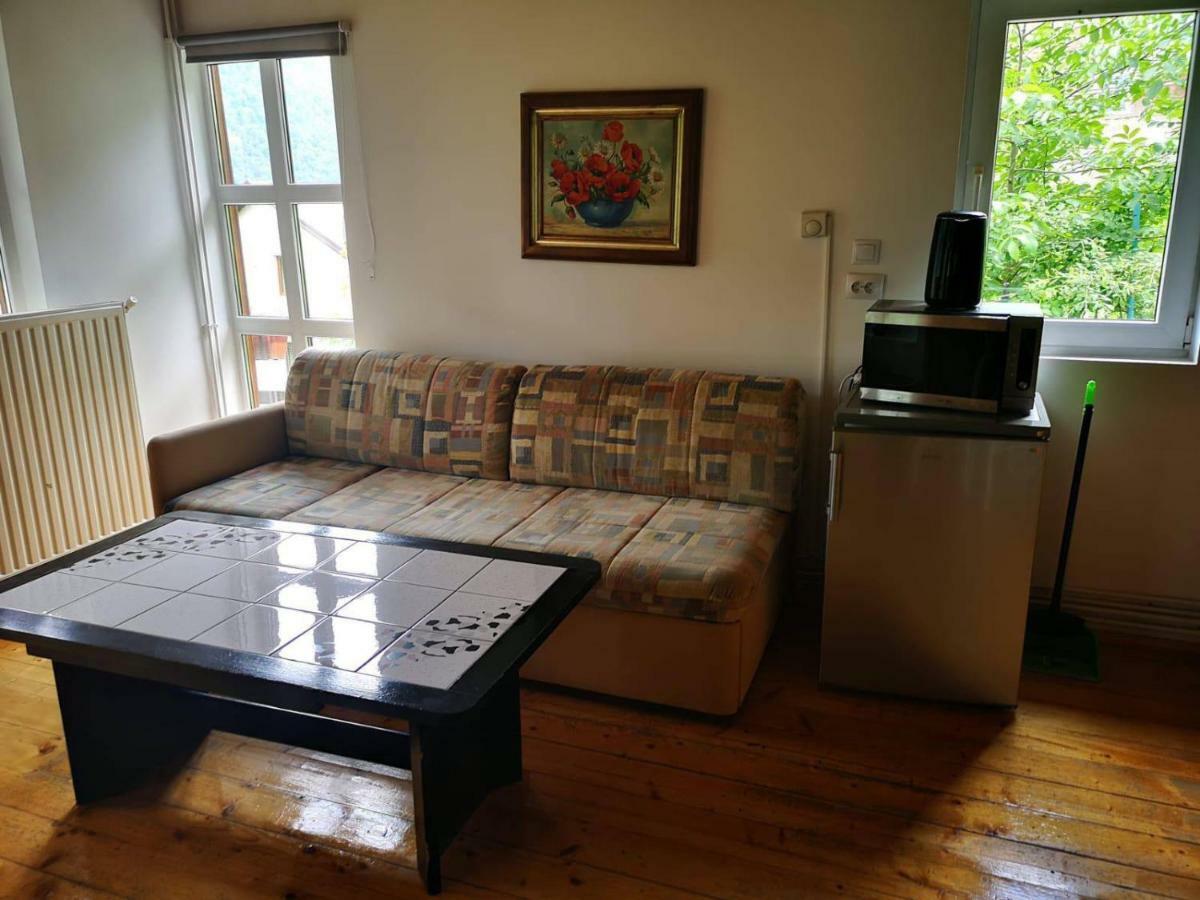 Florile Bucegilor Villa Синая Екстериор снимка